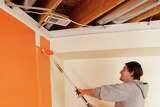 Ceiling paint